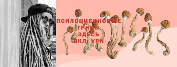 ГАЛЛЮЦИНОГЕННЫЕ ГРИБЫ Алексеевка