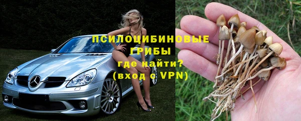 mix Аркадак